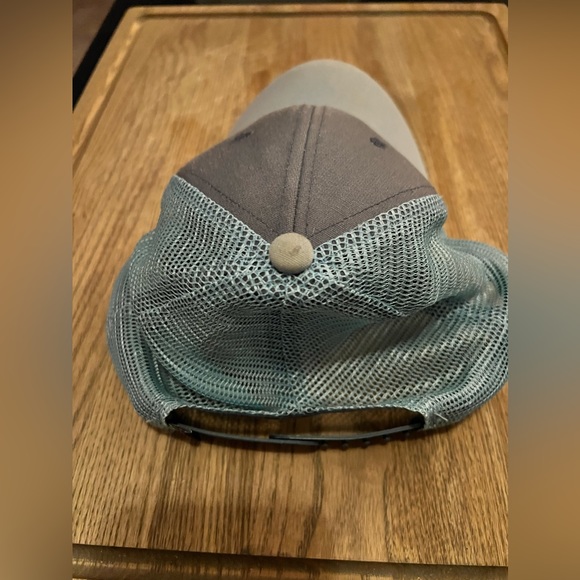 Patagonia "Live Simply Mountain Tops" Trucker  Hat - Gray/Light Blue - Rare - Picture 2 of 3